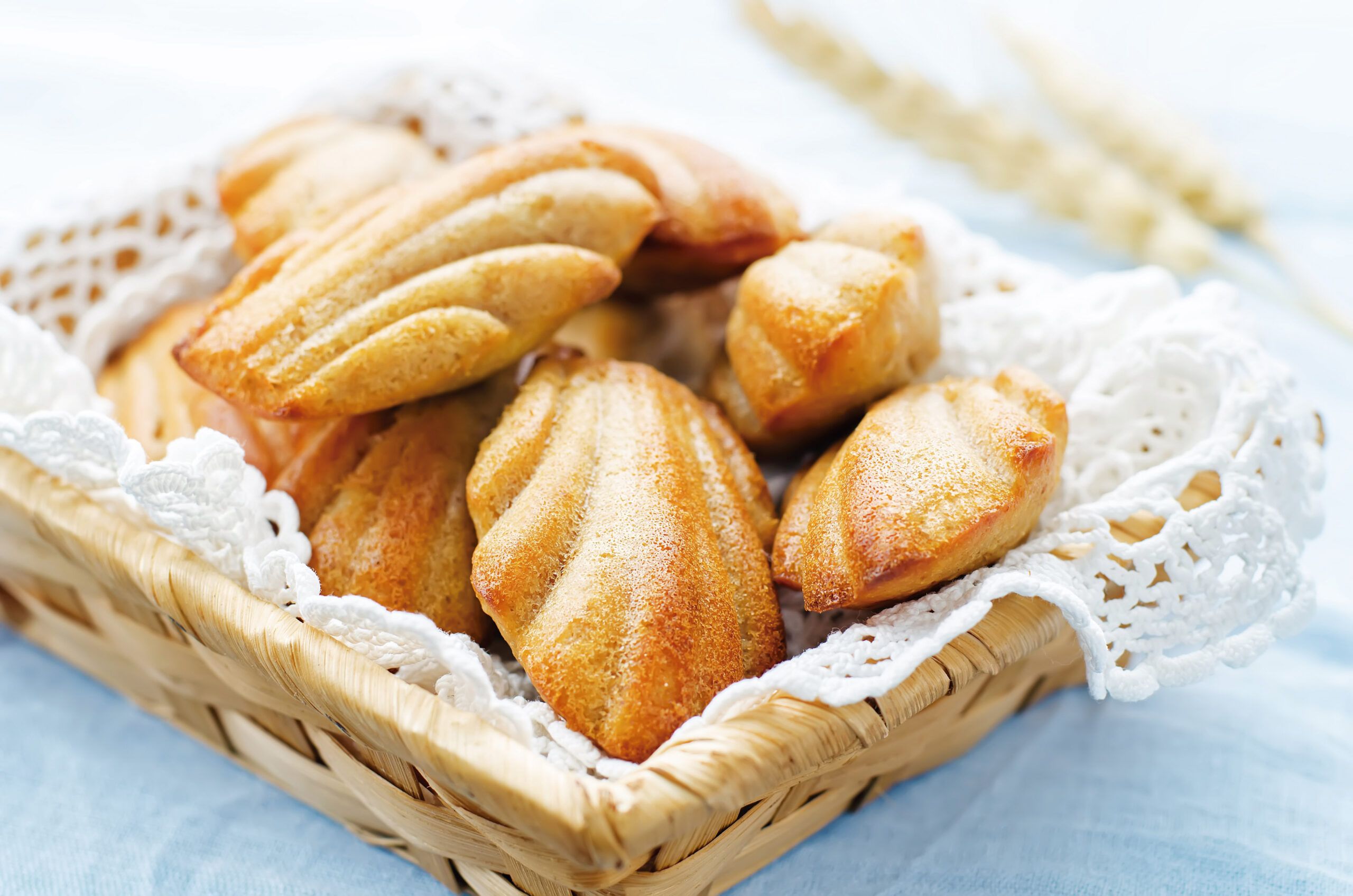 Molde mini Madeleine - Imagen 3